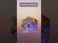 charoite in tinaksite crystals for beginner s