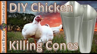 How To Make Chicken Kill Cones