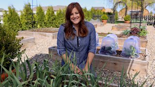 Raised Beds Guide for Beginners! 🤔👩‍🌾// Garden Answer