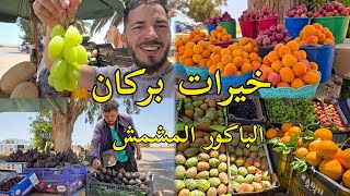 جديد موسم الفواكه الصيف الباكور المشمش العنب خوخ