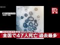 【速報】全国コロナ死者47人に　過去最多更新