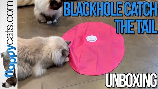 NEW Undercover Mouse Toy: Blackhole Catch The Tail Electronic Cat Toy