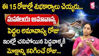 పెద్దల అమావాస్య -Ramaa Raavi About importance of Pitru Amavasya   Mahalaya Amavasya|Devotional World