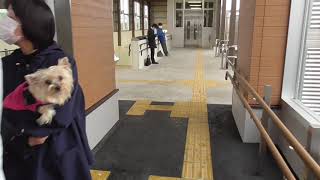 JR泉外旭川駅　奥羽本線 駅巡り【秋田県・秋田市】開業初日　2021.03.13　JR Izumi-Sotoasahikawa Station