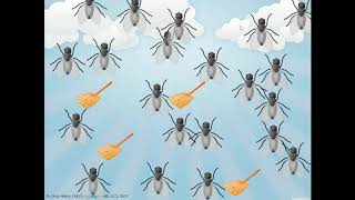 Trigonometric Equations Fly-Swatter Bingo