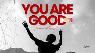 YOU ARE GOOD - YEMI LEVITE