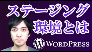 ステージング環境とは【WordPress】Kinsta(キンスタ)にてやり方をデモ解説