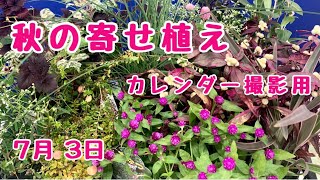 秋の #寄せ植え #カレンダー　   #プランツギャザリング  #PlantsGathering