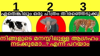 നിങ്ങൾ ആഗ്രഹിക്കുന്ന കാര്യം നടക്കുമോ ? എന്ന് പറയാം, ഒരു ചിത്രം തിരഞ്ഞെടുക്കൂ #viral