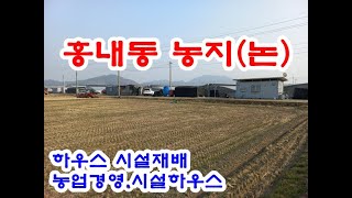 순천시부동산 농지 7억2천5백만원 / 홍내동 순천만국가정원 가까운 시설하우스로 이용중인 경지정리 농지 2,395㎡(약725)