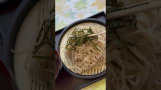 閃光のハサウェイ　日光口パーキング特盛ざる蕎麦