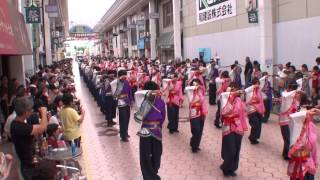 同志社大学よさこいサークル「よさ朗」　～2014高知よさこい祭り・全国大会(帯屋町筋会場)