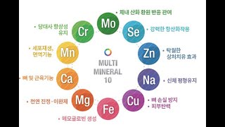 미네랄과 중금속(1)