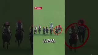 沙田馬場連環墮馬 馬匹當場被人道毀滅😭 #shorts ｜香港V