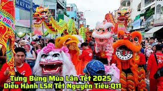 Tưng Bừng Hoành Tráng Diễu Hành Lân Sư Rồng Tết Nguyên Tiêu Quận 11 Tết 2025