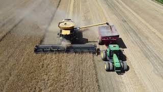 Battage d'orge / Barley harvesting - 2022/08/14