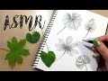 Drawing Leaves || ASMR Pencil Drawing Sounds  - No Talking || One Hour