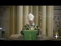 HOMILY FOR SOLEMN MASS OF THE FIFTEENTH SUNDAY IN ORDINARY TIME, YEAR B, SYDNEY, 14 JULY 2024