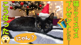 少女黒猫と親ばかクリスマス。プレゼントより嬉しいのは意外なもの？！最後はやっぱり…