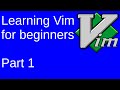 Vim Tutorial for Beginners Lesson 1