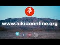 AIKIDO ONLINE Daily Training Experience - with Michael Ormerod / TAKEMUSU AIKIDO ONLINE DOJO