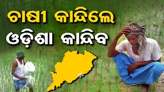 ଚାଷୀ କାନ୍ଦିଲେ, ଓଡ଼ିଶା କାନ୍ଦିବ | Odisha Reporter