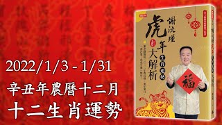 謝沅瑾老師──2022/1/3-1/31 (辛丑牛年農曆十二月) 生肖運勢大解析