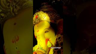 Hanuman Temple Youth Association Trimulgerry Ka Ganesh Grand Visarjan #ganesh #visarjan #viral