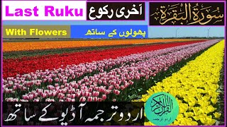 Last Ruku of Surah Al Baqarah with Urdu Translation | سورة البقرة آخری رکوع | with Beautiful Flowers