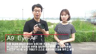 A9 오토포커스 리뷰 / A9 eye-AF (AF-S, AF-C) Tracking Review