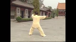 Chen Taiji Laojia Yilu 27 - 51 Back View Slowmo 陈式太极拳老架一路 背后慢动作