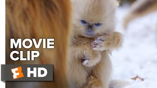 Born in China Movie Clip - Snow Cha-Cha (2017) | Movieclips Coming Soon