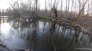 Fly fishing oatka creek