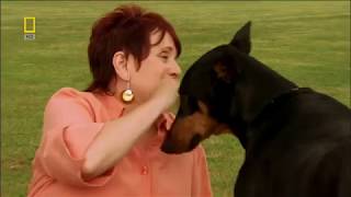Donnie The Dog Genius (2007)