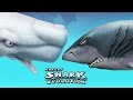 Hungry Shark Evolution - Moby Dick vs Megalodon