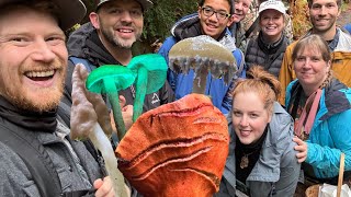 Mushroom Hunting in Washington w/ North American Mycology Association \u0026 Aaron Hilliard