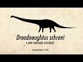 Dreadnoughtus: A New Dinosaur Discovery