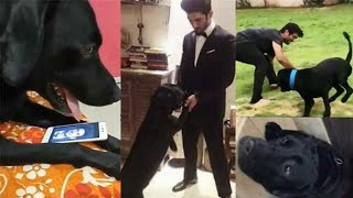 Sushant Singh Rajput Dog Fudge MISSING Him & Waiting For Him To Come Back Is Heart Breaking To See!