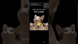 팝캣 150069