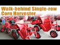 Hand Held Walk-behind Single-row Corn Harvester Operation Demonstration and Working Site#corn