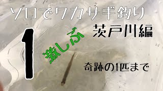 ソロ！念願のマイテント！！茨戸川ワカサギ釣り