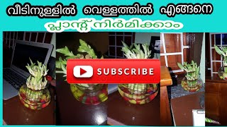 വീടിനുള്ളിൽ വെള്ളത്തിൽ എങ്ങനെ പ്ലാന്റ് നിർമിക്കാം