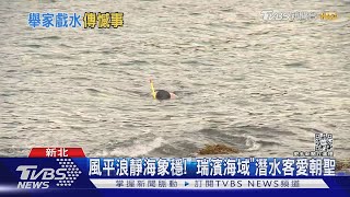 望海巷浮潛「消失20分鐘」 男子面朝下溺斃｜TVBS新聞