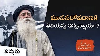 కైలాస మానస సరోవరం లో దాగిన రహస్యాలు || Kailasa Manasa Sarovaram