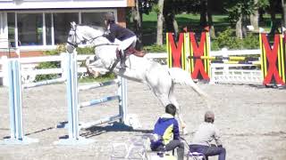 2017　北日本学生馬術大会　二走　１走目　髙橋春南選手　北騅号