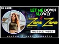 Let Me Down Slowly X Zara Zara Reggae Vibes | DJ Ashik | Vxd Produxtionz