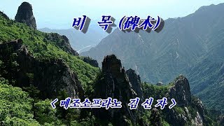 비 목(碑木) - 소프라노 김신자