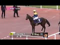 2022 第23回チャンピオンズカップ〔gⅠ〕本馬場入場