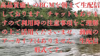 【朝まで癒しのBGM】高品質癒しのBGMを朝まで生配信しております。チャットもありますので利用時の注意事項をご理解の上ご活用くださいませ。動画のアーカイブはありません。生配信形式です。