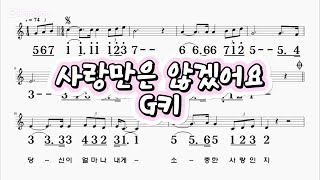 사랑만은않겠어요 윤수일 G키 하모니카 악보 영상